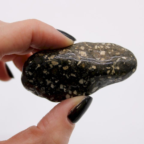 Large African Tumble Stones (6X) - Guinea Fowl Talisman Ancient Wisdom NEW