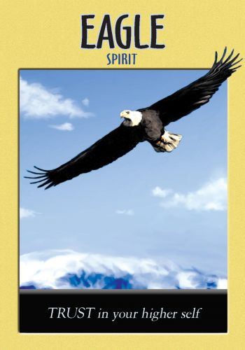 Power Animal Oracle Cards Deck And Guidebook Hay House By Steven D. Farmer NEW