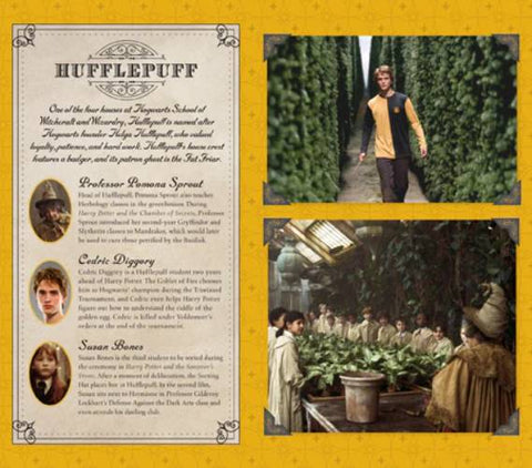 Harry Potter: Hufflepuff Ruled Pocket Journal Insiht Editions