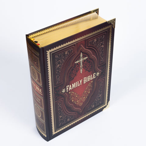Personalized KJV Illustrated Family Bible 1600 Pages 900 Artworks Gold Hardcover