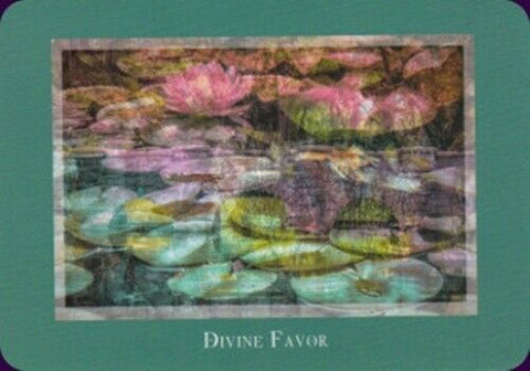 Gaia'S Vision Oracle Cards Deck Original Schiffer Publishing By Susan Starr NEW