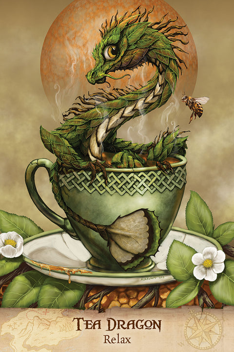Field Guide to Garden Dragons Oracle Cards Deck & Book Set US Games