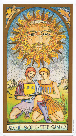Renaissance Tarot Deck by Brian Williams 78 Cards US Games with Guidebook