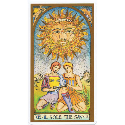 Renaissance Tarot Deck by Brian Williams 78 Cards US Games with Guidebook