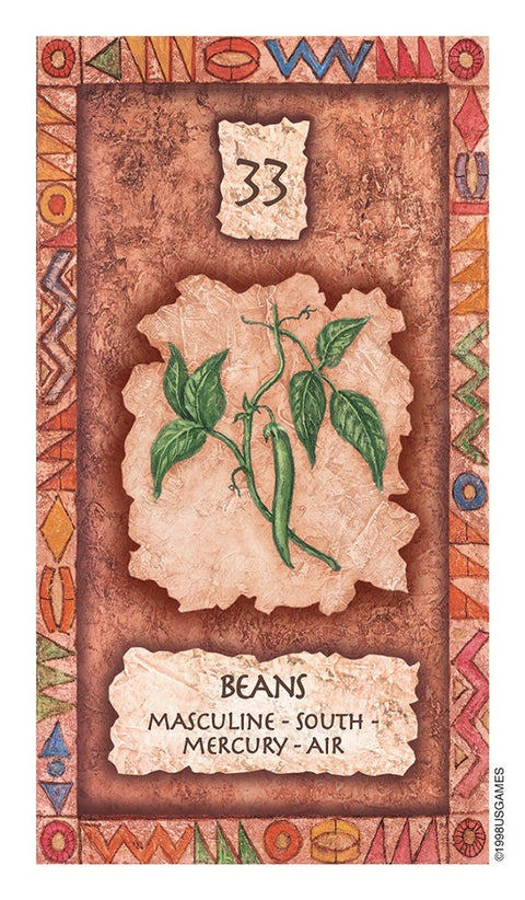 Shaman Wisdom Oracle Card Deck US Games by Leita Richesson