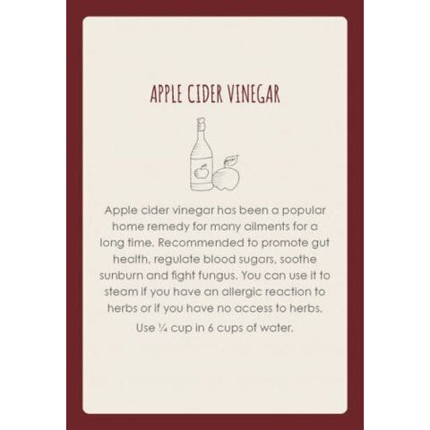 Womb Medicine Healing Cards Oracle Deck by Sali McIntyre Animal Dreaming