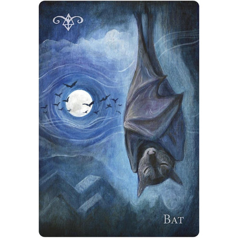 A Witch's Ally Oracle Deck 48 Cards & Guidebook by Llewellyn