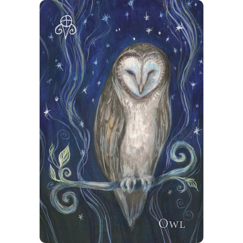 A Witch's Ally Oracle Deck 48 Cards & Guidebook by Llewellyn