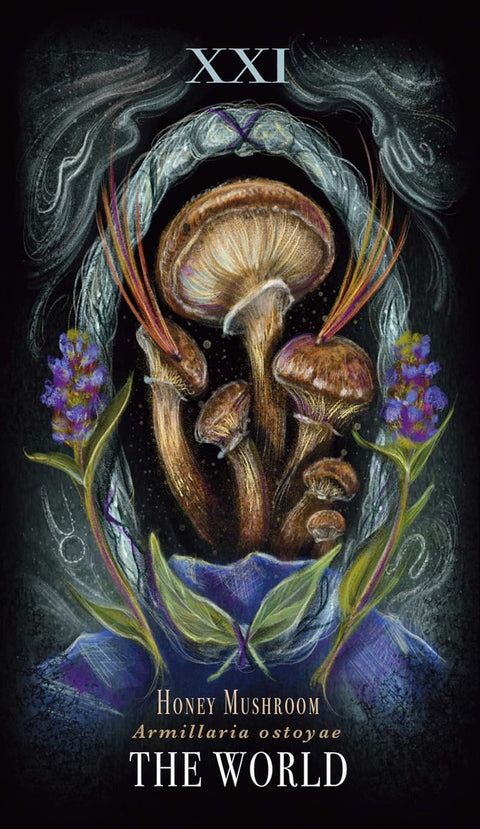 Midnight Magic Mushroom Tarot Card Deck by Sara Richard Adams Media