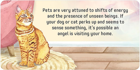 Angel Connections Messages Cards Deck Recognize Angels Sign