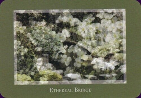 Gaia'S Vision Oracle Cards Deck Original Schiffer Publishing By Susan Starr NEW