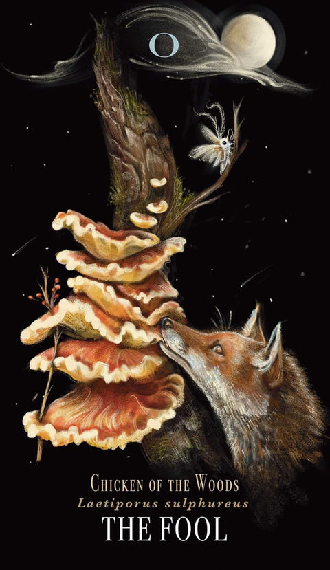 Midnight Magic Mushroom Tarot Card Deck by Sara Richard Adams Media