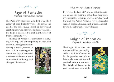 Animystic Tarot Deck 78 Cards & Guidebook Nature Magic by Red Feather