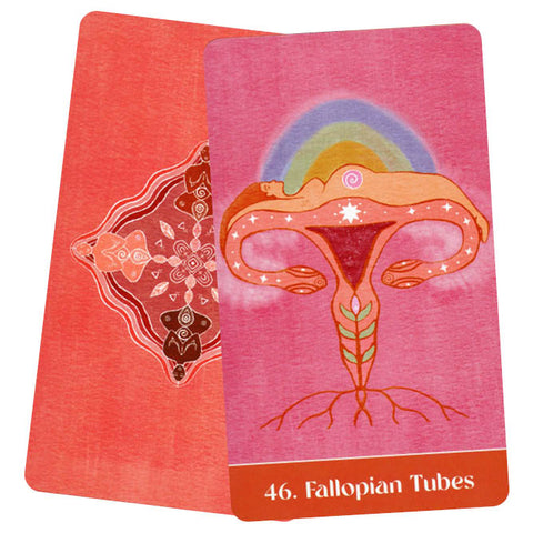 The Sacred Cycles Oracle Card Deck & Guidebook Body'S Wisdom