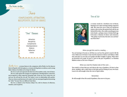Gaian Tarot 2nd Edition Deck & Guidebook Multicultural Earth Spirituality