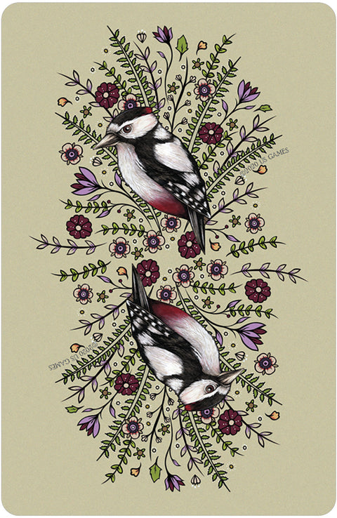 Universal Folk Oracle Deck Cards Anita Inverarity US Games Systems Ufo44