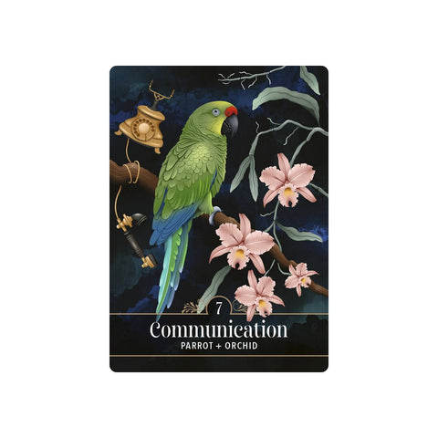 The Familiar Magic Pocket Oracle Cards Deck Hay House