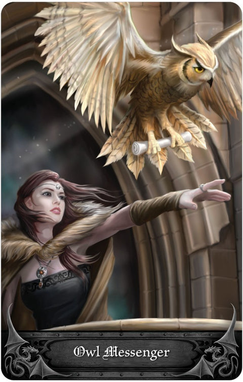 Anne Stokes Gothic Oracle Tarot Cards Deck & Guidebook Set by US Games