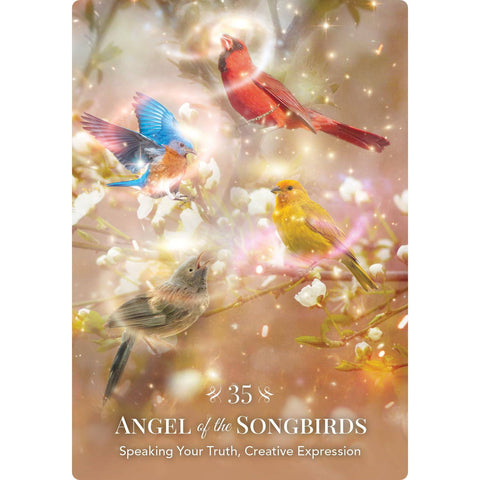 Angels of Nature Oracle Cards Deck Hay House
