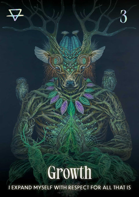 Shamanic Oracle Deck 44 Cards & Guidebook by Rockpool Publishing