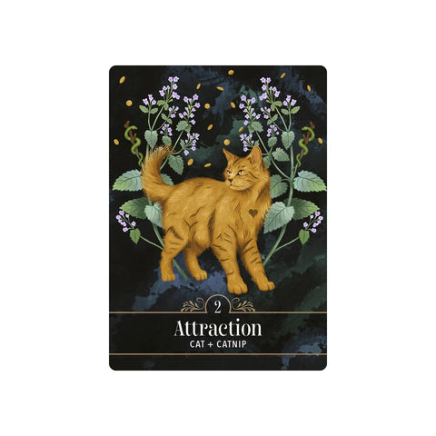 The Familiar Magic Pocket Oracle Cards Deck Hay House