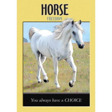 Power Animal Spirit Oracle Cards Deck And Guidebook