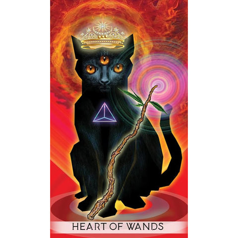 Unifying Consciousness Tarot Deck 79 Cards & Guidebook by Schiffer