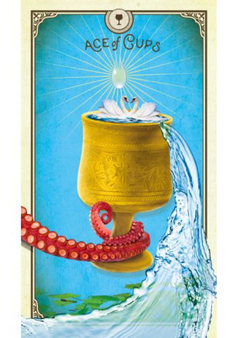 The Tarot Of Curious Creatures Card Deck & Guidebook Chris-Anne