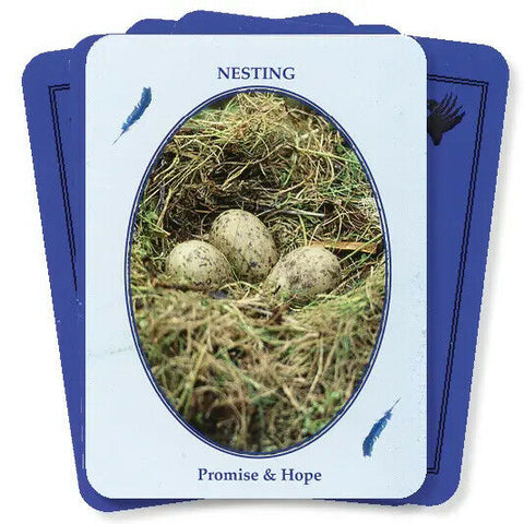 Feathered Omens Messenger Birds Spirit World Oracle Cards & Book Set