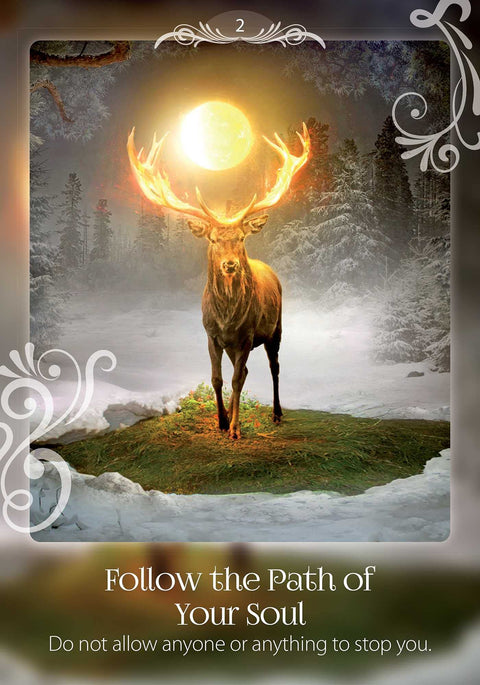 Soul Helper Oracle Cards Deck & Guidebook Earth Dancer New
