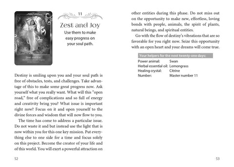 Soul Helper Oracle Cards Deck & Guidebook Earth Dancer New