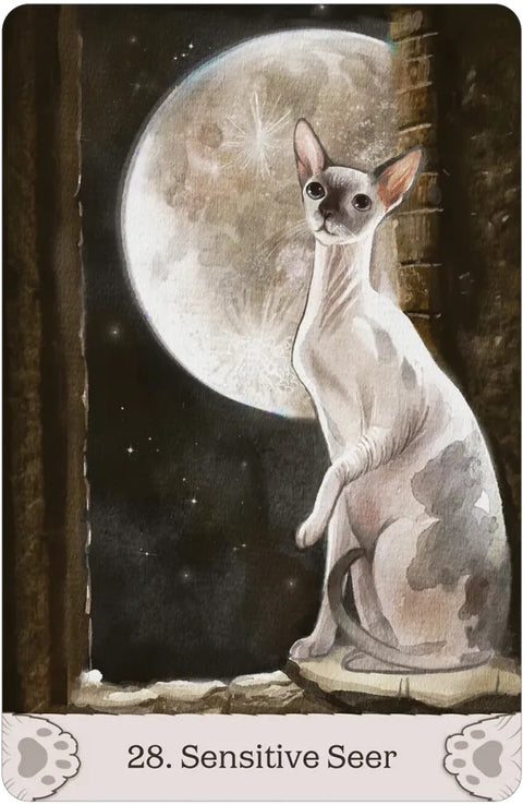 Cat Mythos & Magick Oracle Deck 45 Cards with Guidebook by US Games