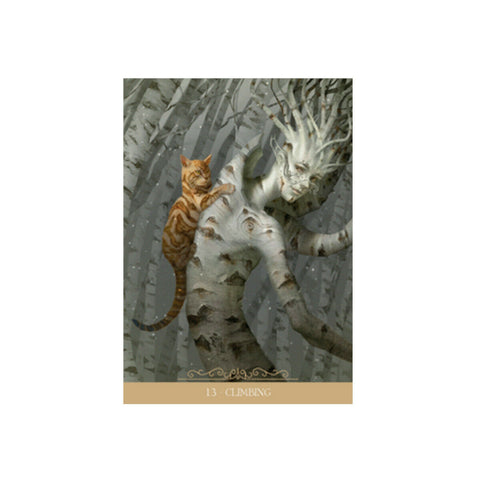 Barbieri Fantasy Cat Oracle Deck 23 Cards Lo Scarabeo Divination Set