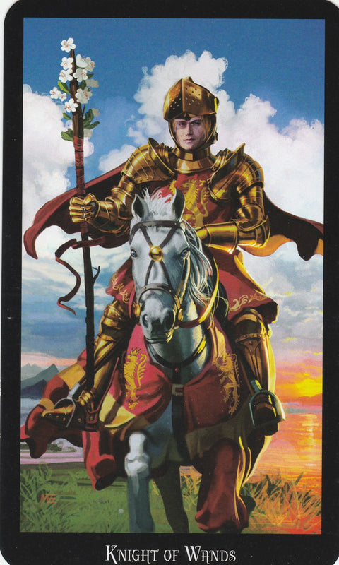 Witches Tarot Cards Deck Esoteric Telling Ellen Dugan Llewellyn