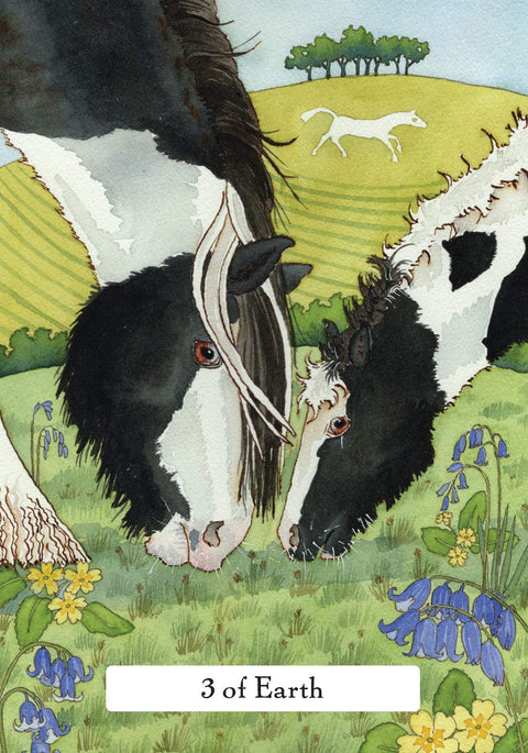 The Witches' Wisdom Tarot Card Deck & Guidebook by Phyllis Curott