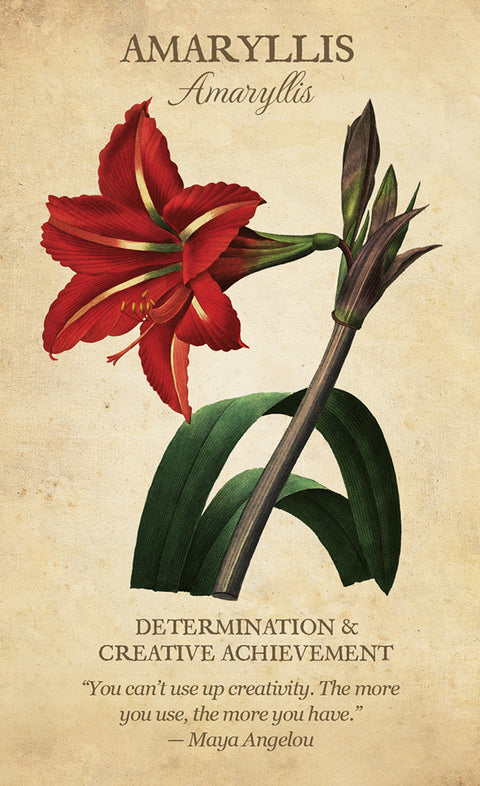 Botanical Inspirations Oracle Cards Deck & Guidebook Set US Games