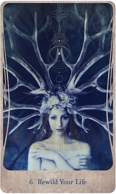 Divine Nature Oracle Cards Deck & Guidebook by Angi Sullins US Games