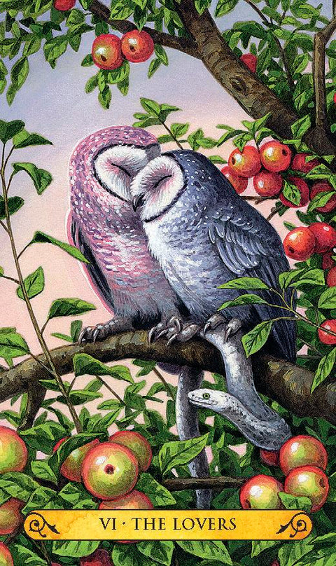 Tarot of the Owls Mini 78-Card Deck Pocket Size Owl Tarot Llewellyn