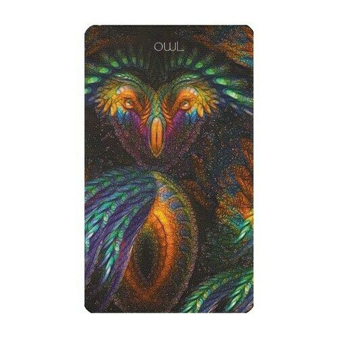 Healing Light And Angel Cards Deck & Book Set Schiffer Publishing Saleire NEW