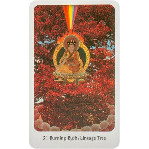 Tantric Dakini Oracle Tarot Card Deck & Guidebook Box Set Destiny Books