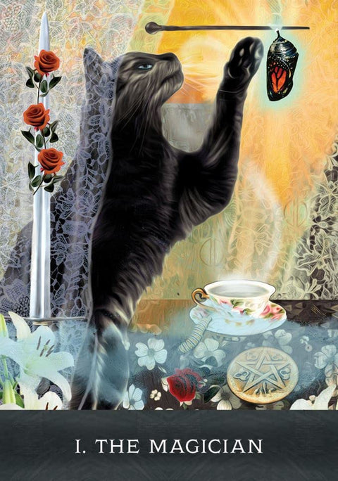 Grimalkin'S Curious Cats Tarot Cards Deck & Guidebook