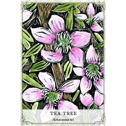 Australian Wildflower Oracle Cards Deck & Guidebook Cheralyn Darcey