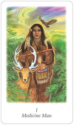 Vision Quest Tarot Cards Deck And Bag By Gayan Sylvie Winter Esoteric Agm NEW
