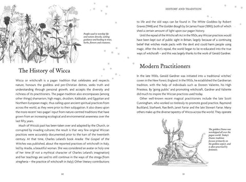 The Witches Oracle Cards Deck Welbeck Publishing Esoteric Sally Morningstar +Bag