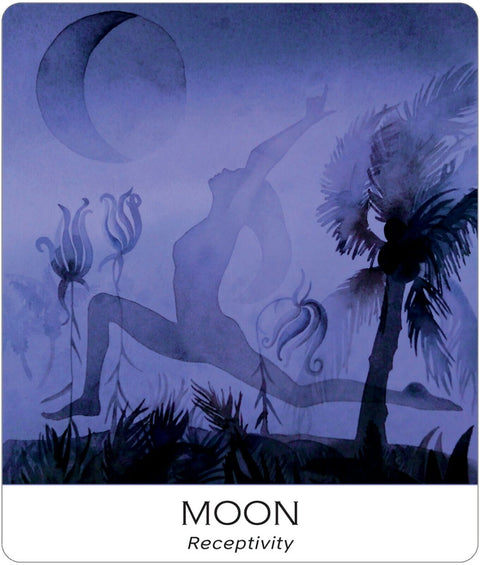 Nature & Soul Yoga Wisdom Cards Deck by US Games with Guidebook & Bag