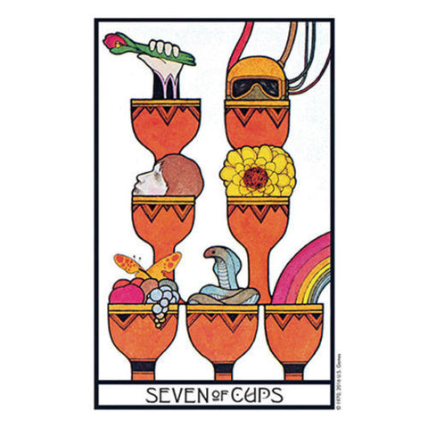 Aquarian Tarot Deck in Tin by David Palladini + Velvet Bag US Games New