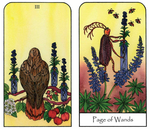 Nature Spirit Tarot Deck – Botanical, Animal Cards With Bag