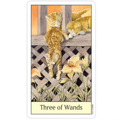 Cats Eye Tarot Deck 78 Cards with Velvet Bag by US Games Systems