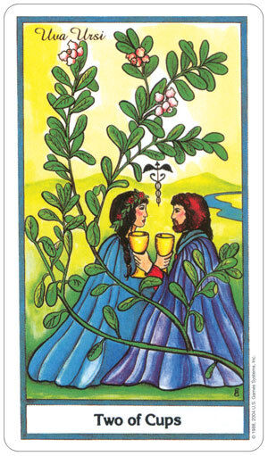 The Herbal Tarot 78-Card Deck by US Games with Velvet Bag New Sealed