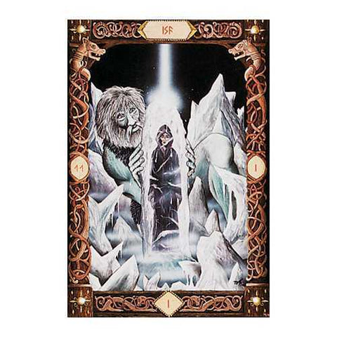 Power of the Runes Divination Card Deck w/ Velvet Bag US Games